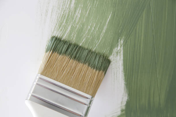 Best Mold Damage Restoration  in Flemington, GA