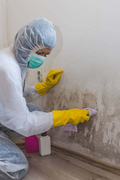 Best Indoor Air Quality Assessment  in Flemington, GA