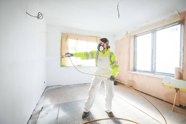 Best Mold Odor Removal Services  in Flemington, GA