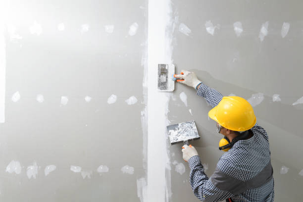 Best Basement Mold Removal  in Flemington, GA