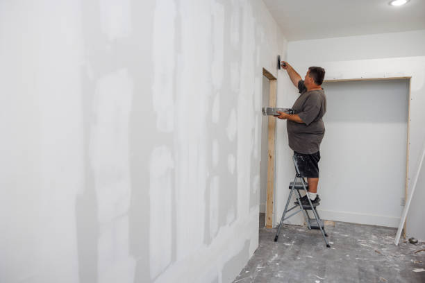 Best Emergency Mold Remediation  in Flemington, GA