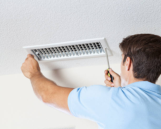 Asbestos and Lead Testing During Mold Inspection in Flemington, GA