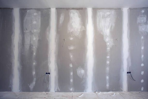 Best Biohazard Mold Removal  in Flemington, GA
